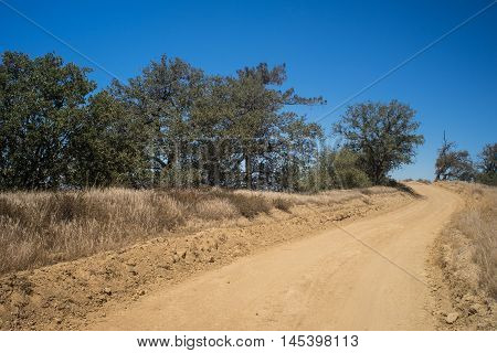 Mountain Trail In Forest
