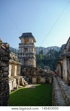 Mayan ruins in Palenque Chiapas in  Mexico.