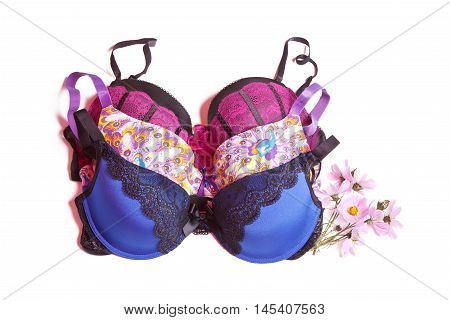 Beautiful colored lingerie on a white background. Brassiere