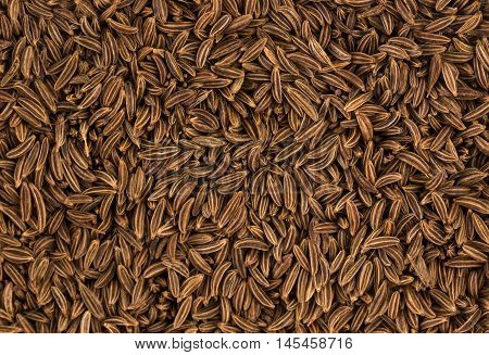 Cumin seeds or caraway, top view, close-up