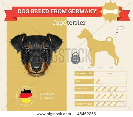 Jagdterrier dog breed vector infographics. This dog breed from German