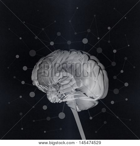 Huma brain isolated. Brain power, colorful creative thoughts. 3D illustration.