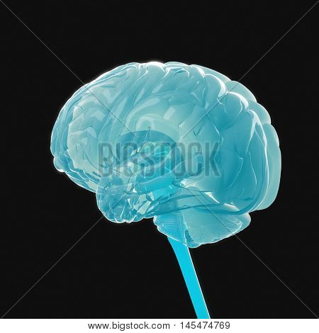 Huma brain isolated. Brain power, colorful creative thoughts. 3D illustration.