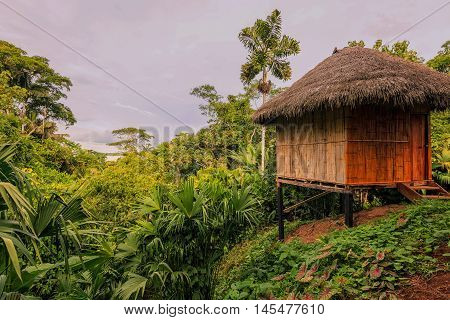Loge Amazon Rainforest National Park Yasuni South America