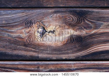 Detail of the knot in wood - rough wooden texture