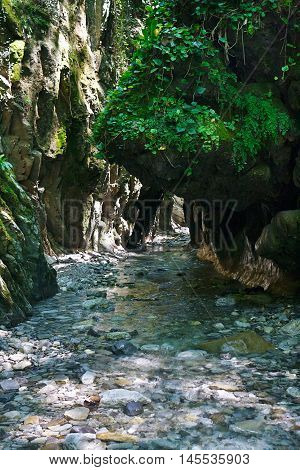 Beautiful mountain gorge with a creek in the southern forest