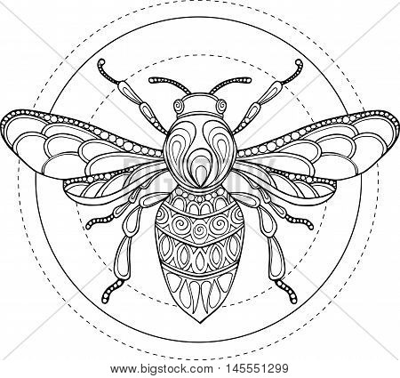 Doodle Vector Hand Drawn Bee Illustration