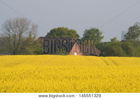 Photo Of Kiel In Germany In Europe