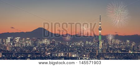 Tokyo city view with Tokyo skytree and mountain fuji