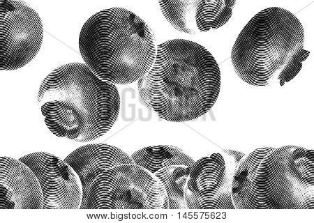 Many juicy and fresh blueberries background. Blue color blueberries close-up. Image of blueberries with high resolution. Drawing sketch painting blueberry, vector