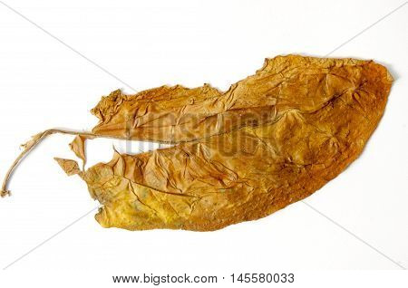 picture of a dry leaf tobacco closeup