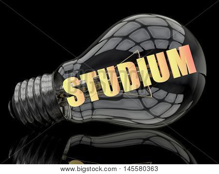 Studium