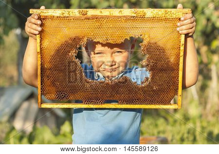 Smiling boy holding frame of honeycomb. beekeeping