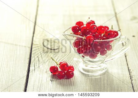 Fresh red currant on white wooden table. Cross-processed color tone - retro style filtered image.