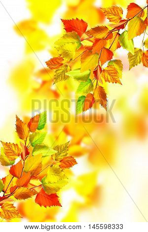 autumn landscape with bright colorful foliage. Indian summer.