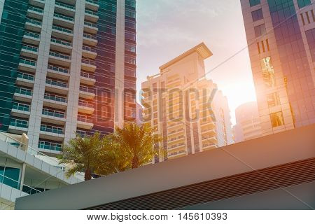 Modern office buildings and palms, bottom view, vintage color filter