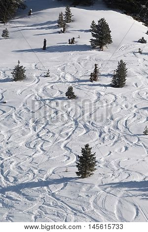 Snowboarders curves in the snow