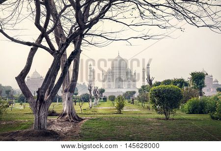 Taj Mahal And Trees In Mehtab Bagh Garden