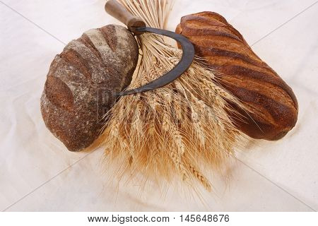 bunch of mown wheat ears with vintage handmade reaper hook sickle and rye and white dark french fresh bread loaf on light linen tablecloth