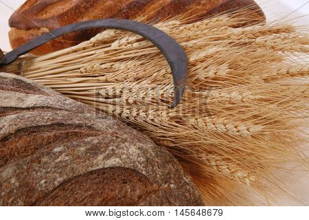 bunch of mown wheat ears with vintage handmade reaper hook sickle and rye and white dark french fresh bread loaf on light linen tablecloth
