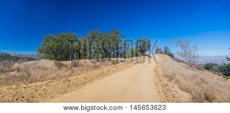 Hilltop Road In Wilderness