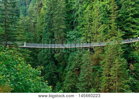 Capilano Suspension Bridge in Vancouver, Canada.
