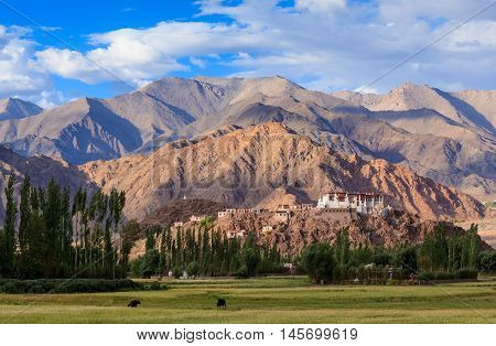 Stakna Monastery Leh Ladakh Jammu and Kashmir India