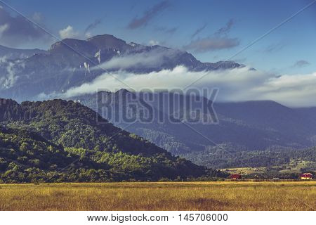 Idyllic sunny scenery with ripe cereal field and majestic Bucegi mountains range at the horizon in Transylvania region Romania.