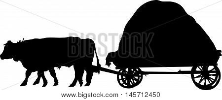 agricultural farm animals bulls a cart black silhouette