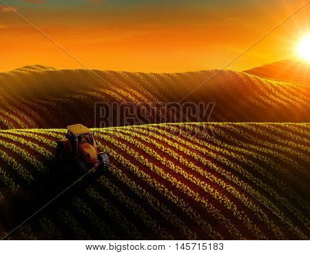 3d illustration of aerial view of field with rows of growing crop or vegetables and tractor ploughing it. Sunset or sunrise light