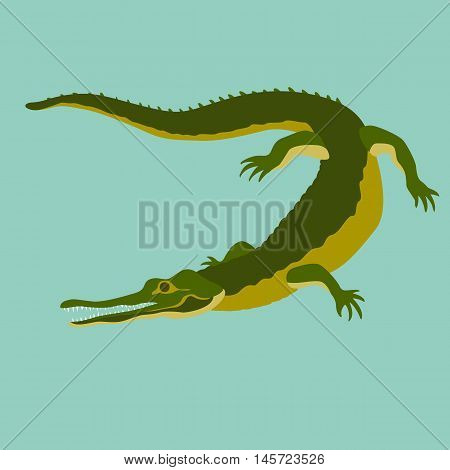 Crocodile isolated realistic vector illustration flat style