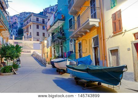 The old, narrow street in the medieval Italian village of Manarola at night. Parco Nazionale delle Cinque Terre, Liguria, Italy.