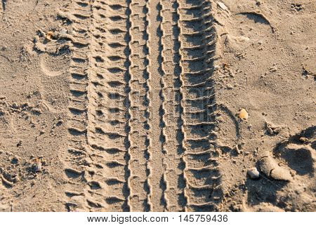 trace of tire in the sand beach