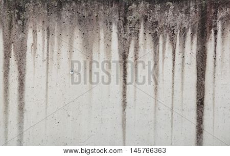 gray concrete wall with black vertical stripes