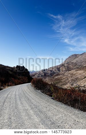 After Fire - Swartberg Nature Reserve