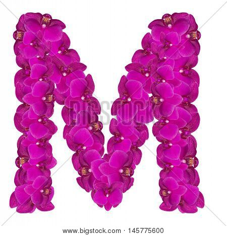 Letters made of pink flowers. M letter - flower alphabet
