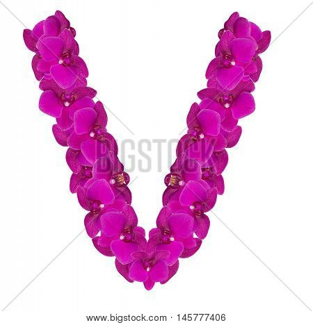 Letters made of pink flowers. V letter - flower alphabet