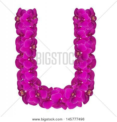 Letters made of pink flowers. U letter - flower alphabet