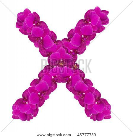Letters made of pink flowers. X letter - flower alphabet