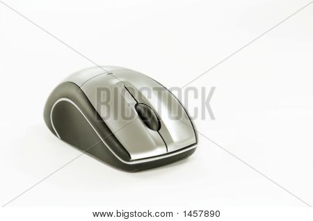 Maus