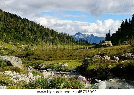 Black Tusk Viewed From Brandywine Meadows
