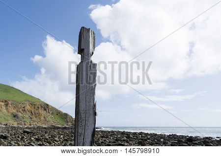 Single pylon pillar post part of the old jetty ruins at Myponga Beach South Australia. Shallow focus on just the post was used concentrating on the aging wood texture.