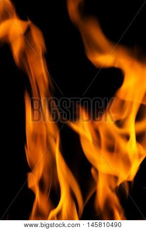 close up of fire and flames on a black background
