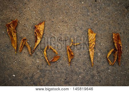 The word world is lined with fallen leaves on the pavement