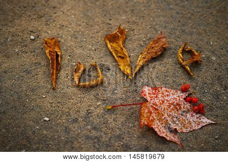 Word love laid out by autumn leaves on the pavement