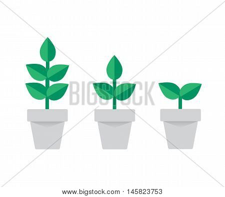 planting tree process, business concept flat design