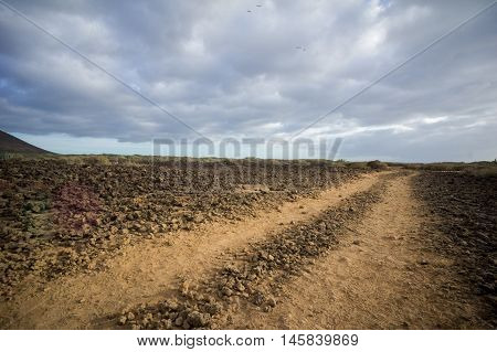 Countryside Desert Dirt Road