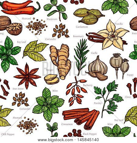 Herbs And Spice Color Sketch Seamless Pattern