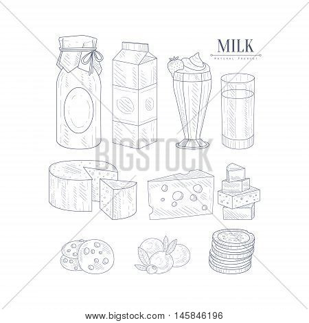 Milk And Dairy Products Isolated Icons Hand Drawn Realistic Sketch. Hand Drawn Detailed Contour Illustration On White Background.