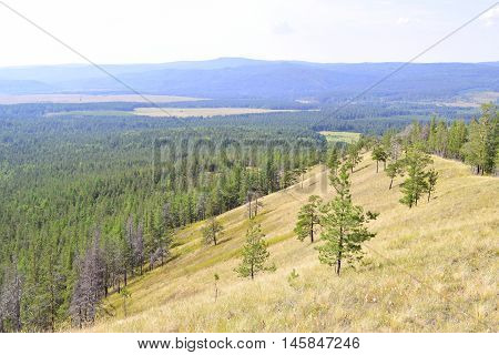 Not high relief mountain with trees and grass